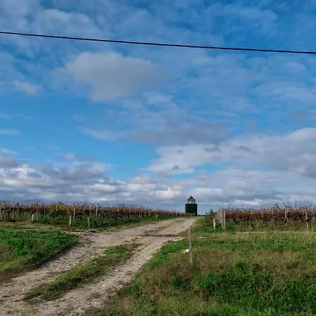 Apartment Chez Lea *