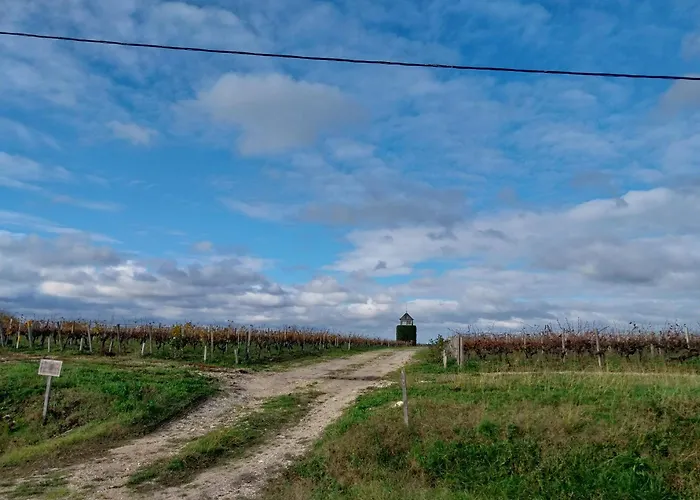 Apartment Chez Lea *